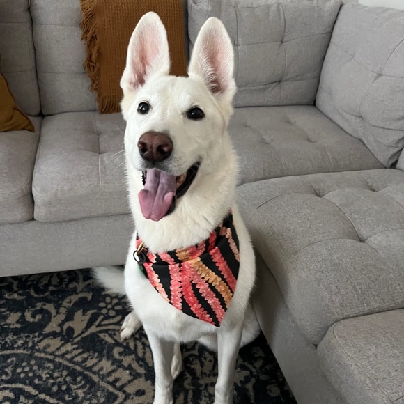 Meet your Poshmark Ambassador, Nicole - Picture 5 of 8